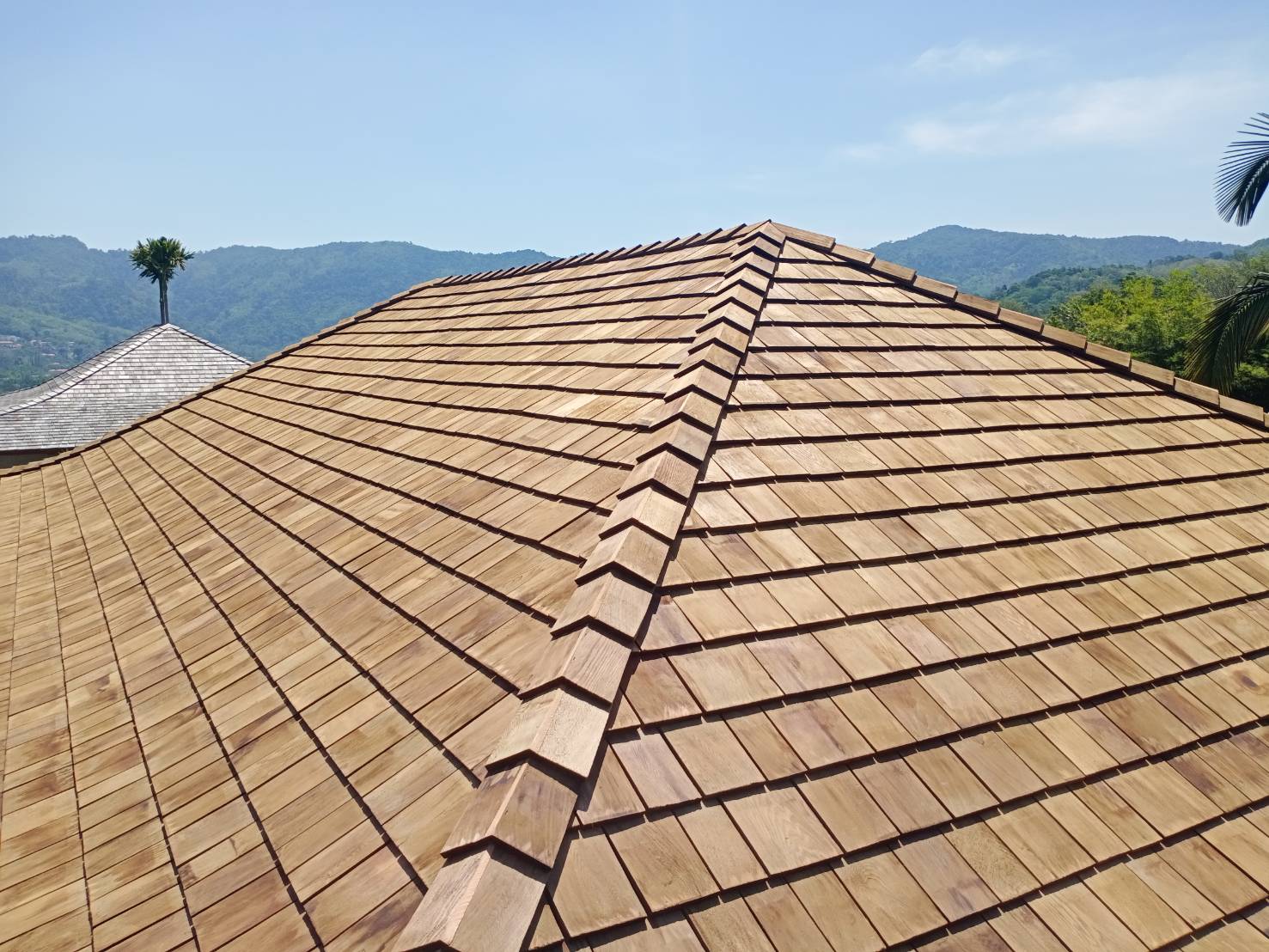 Cedar Master