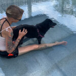Soi Dog Foundation